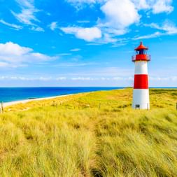 Rot-weiß gestreifter Leuchtturm auf grasbewachsenen Dünen am Ellenbogen auf Sylt mit blauem Meer und Himmel. Sandstrand links sichtbar.