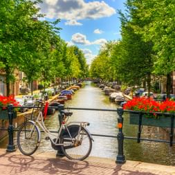 Fahrrad auf einer Brücke über einer Amsterdamer Gracht, gesäumt von Bäumen und historischen Gebäuden. Rote Blumen schmücken das Brückengeländer.