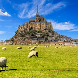 Mont Saint-Michel Abtei auf felsiger Insel mit mittelalterlichen Gebäuden. Schafe grasen auf grüner Wiese im Vordergrund unter blauem Himmel.