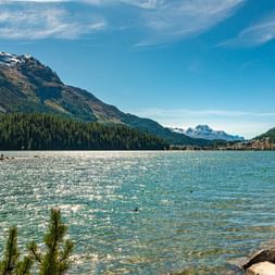 St. Moritzer See mit klarem blauen Wasser, umgeben von bewaldeten Bergen und schneebedeckten Gipfeln. Gebäude am gegenüberliegenden Ufer unter hellem Himmel.