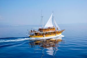 MS Planka, a wooden sailing vessel with white sails and two masts, cruising on calm blue water with distant mountains visible on the horizon.