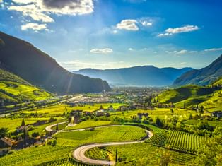 Luftaufnahme terrassierter Weinberge im Etschtal bei Bozen mit kurvigen Straßen, Bergen und einer Stadt in der Ferne unter blauem Himmel.