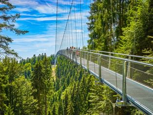 Hängebrücke durch die Baumwipfel in Bad Wildbad, Schwarzwald. Besucher gehen auf der Metallbrücke über dichtem grünen Wald.