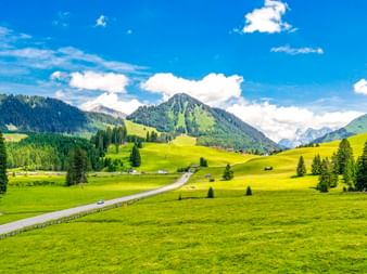 Grüne Almwiesen mit vereinzelten Bäumen und einer Straße durch das Tal bei Imst, Tirol. Berge und Wälder unter blauem Himmel.