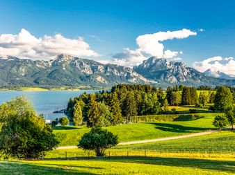 Malerischer Blick auf den Forggensee bei Füssen mit grünen Wiesen, Bäumen und Bergkette unter blauem Himmel mit weißen Wolken.