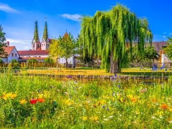 Bunte Wildblumenwiese mit großer Weide und St. Walburga Kirche mit zwei grünen Türmen in Beilngries unter blauem Himmel.