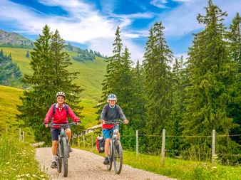 Zwei Radfahrer auf Mountainbikes auf einem Schotterweg im Allgäu bei Oberstaufen, umgeben von grünen Wiesen, Nadelbäumen und Bergen.