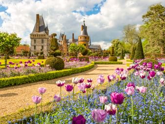 Schloss Maintenon mit Türmen hinter formalen Gärten mit lila Tulpen, blauen Vergissmeinnicht und geschnittenen Hecken unter bewölktem Himmel.
