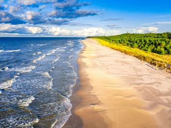 Breiter Sandstrand bei Osieki entlang der Ostsee mit weißen Wellen. Dichter grüner Wald grenzt an den Strand unter blauem Himmel.