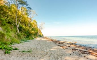 Sandstrand an der Ostsee-Steilküste bei Boltenhagen mit Bäumen am Hang, Seegras am Ufer und ruhigem blauen Wasser unter klarem Himmel.