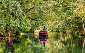 Person steuert einen roten Kahn auf einem ruhigen Kanal in Schlepzig, umgeben von üppigen grünen Bäumen, die einen natürlichen Tunnel bilden.
