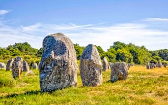Antike Menec Steinreihen auf einer Wiese in der Bretagne, mit Bäumen im Hintergrund unter blauem Himmel.
