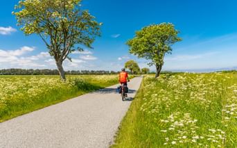 Radfahrer in oranger Jacke auf asphaltiertem Weg durch dänische Landschaft mit grünen Feldern, Wildblumen und Bäumen unter blauem Himmel.