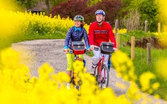 Zwei Radfahrer mit Helmen auf einem Schotterweg durch gelb blühende Felder bei Travemünde, mit Bäumen und einem Haus im Hintergrund.
