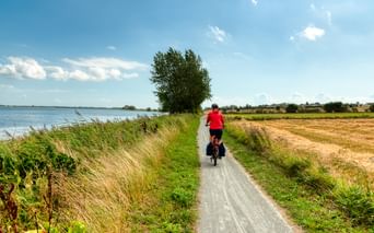 Radfahrer in roter Jacke mit Packtaschen auf schmalem Weg zwischen Küstengewässer und goldenen Feldern auf der Insel Ærø, Dänemark.