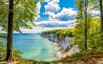 Blick auf die weißen Kreidefelsen auf Rügen, eingerahmt von grünen Buchen. Die Klippen fallen zum türkisfarbenen Ostseewasser ab.