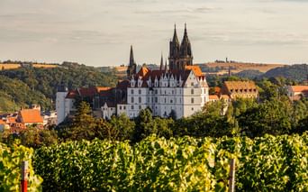 Blick auf die Albrechtsburg und den Meißner Dom über der Stadt, mit grünen Weinbergen im Vordergrund und sanften Hügeln im Hintergrund.