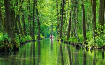 Kanu mit Passagieren auf einem ruhigen grünen Wasserweg durch dichten Spreewald. Hohe Bäume säumen beide Seiten, ihre Spiegelungen im Wasser sichtbar.