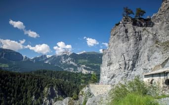 Rheinschlucht Ruinaulta mit steilen grauen Felswänden, Bergstraße und bewaldeten Bergen unter blauem Himmel. Schneebedeckte Gipfel in der Ferne.