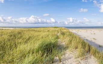 Breiter Sandstrand auf der Insel Terschelling mit grasbewachsenen Dünen unter blauem Himmel mit weißen Wolken. Die Nordsee ist im Hintergrund sichtbar.
