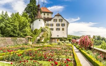 Schloss Heidegg, ein weißes Schloss mit orangefarbenem Dach und Turm, umgeben von bunten Rosengärten und grünen Hecken unter blauem Himmel.