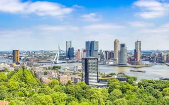 Panoramablick auf die Rotterdamer Skyline mit modernen Wolkenkratzern, Erasmusbrücke und Maas, eingerahmt von grünen Bäumen im Vordergrund.