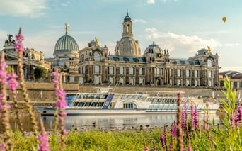 Dresdner historische Skyline mit Frauenkirche-Kuppel und Barockgebäuden entlang der Elbe. Rosa Wildblumen rahmen die Ansicht, ein Flussschiff liegt vor Anker.