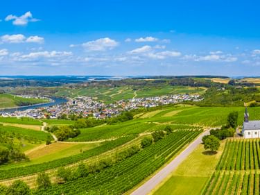 Luftaufnahme von Nittel im Moseltal mit weißer Rochus-Kapelle umgeben von grünen Weinbergen, sanften Hügeln und blauem Himmel.