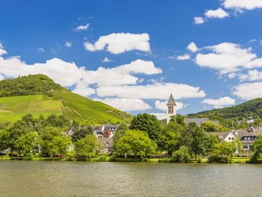 Blick auf Bullay an der Mosel mit Kirchturm, terrassierten Weinbergen am Hang und Wohnhäusern unter blauem Himmel.