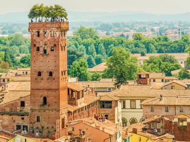 Mittelalterlicher Guinigi-Turm aus Backstein mit Eichen auf dem Dach, überragt die Terrakottadächer von Lucca, Italien, mit grüner Landschaft dahinter.