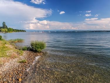 Kiesstrand in Romanshorn am Bodensee mit klarem flachen Wasser, grüner Vegetation und Segelbooten auf dem blauen See unter bewölktem Himmel.