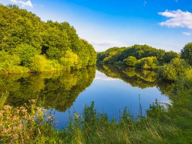 Ruhige Ems bei Meppen mit perfekten Spiegelungen von üppig grünen Bäumen und blauem Himmel. Wildblumen blühen am Grasufer.