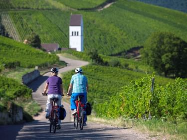 Zwei Radfahrer fahren durch grüne Weinberge in Frankreich. Ein weißer Kirchturm ist im Hintergrund zwischen Hügeln sichtbar.