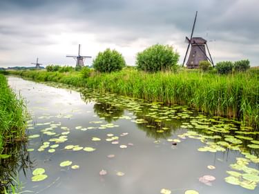 Traditionelle niederländische Windmühlen in Kinderdijk entlang eines Kanals mit Seerosen und Schilf unter bewölktem Himmel.