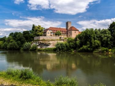 Historische Burg mit rotem Ziegeldach und Steinturm am Neckar in Lauffen, umgeben von üppig grünen Bäumen unter blauem Himmel.