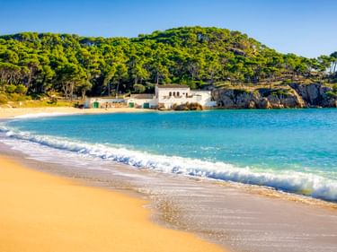 Sandstrand an der Cala Castell mit türkisem Wasser und sanften Wellen. Weißes Gebäude auf felsiger Klippe umgeben von grünem Pinienwald unter blauem Himmel.