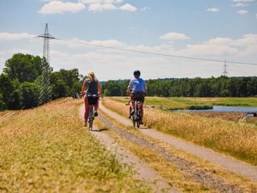 Zwei Radfahrer auf einem Schotterweg zwischen goldenen Weizenfeldern beim Alfsee. Ein See und Stromleitungen sind im Hintergrund unter blauem Himmel sichtbar.