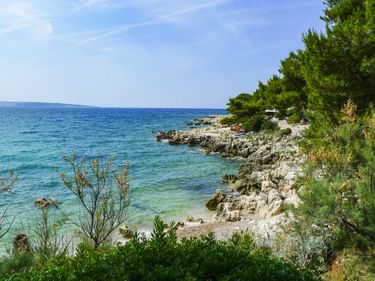 Felsige Küste mit türkisfarbenem Adriatischem Meer auf der Insel Rab in der Kvarner Bucht, Kroatien. Pinien und Vegetation rahmen den kleinen Strand.