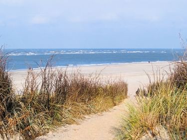Sandweg durch Dünengräser führt zu einem breiten Strand in Friesland. Die Nordsee mit weißen Wellen ist unter blauem Himmel sichtbar.