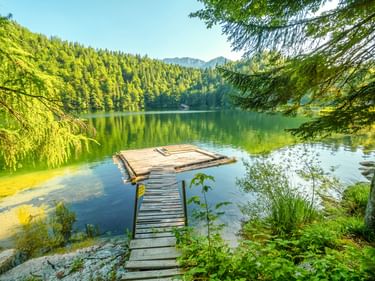 Holzsteg führt zu einer Plattform auf dem Toplitzsee, umgeben von dichtem Wald und Bergen unter blauem Himmel in Österreich.