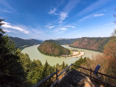 Panoramablick auf die Donau, die bei Schlögener Schlinge eine dramatische Flussschleife bildet, mit bewaldeten Hügeln und Aussichtsplattform.