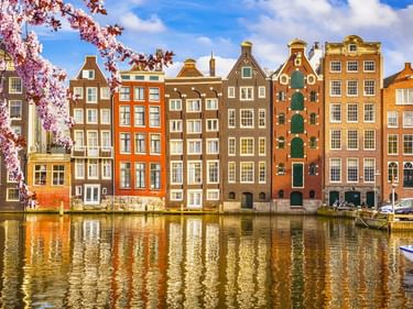 Reihe bunter traditioneller Grachtenhäuser in Amsterdam, die sich im Wasser spiegeln. Rosa Kirschblüten rahmen die Szene unter blauem Himmel ein.