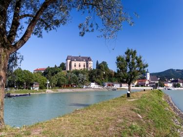 Blick auf Schloss Greinburg auf einem Hügel über der Donau. Grünes Flussufer mit Bäumen im Vordergrund, weißer Kirchturm und Hügel im Hintergrund.