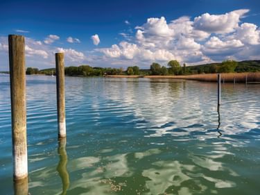 Holzpfähle im ruhigen blauen Wasser der Halbinsel Höri am Bodensee. Grünes Ufer mit Bäumen und Schilf unter blauem Himmel mit weißen Wolken.