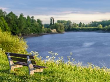 Holzbank am grasbewachsenen Flussufer mit Blick auf die Schelde bei Dendermonde. Weiße Wildblumen blühen im Vordergrund, grüne Bäume säumen das Ufer.