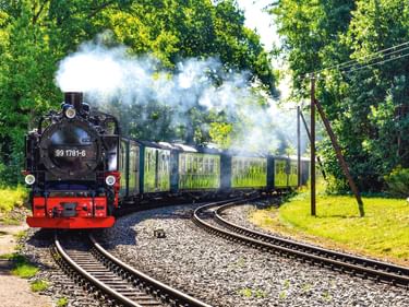 Schwarze Dampflokomotive 99 1781-8 zieht grüne Personenwagen durch üppigen Wald auf Rügen. Weißer Dampf steigt aus der Lok auf.
