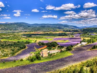 Panoramablick auf violette Lavendelfelder und ein Steinbauernhaus nahe Mont Ventoux, umgeben von grünen Hügeln und Wäldern unter blauem Himmel.