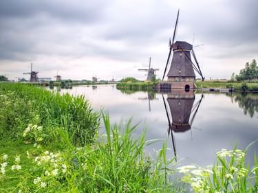 Traditionelle niederländische Windmühlen spiegeln sich im ruhigen Kanalwasser in Kinderdijk. Grünes Gras und Wildblumen säumen den Wasserweg.