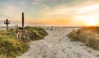 Zwei Fahrräder auf einem sandigen Strandweg auf Sylt, eingerahmt von Dünengras. Holzbuhnen erstrecken sich bei Sonnenuntergang in die Nordsee.