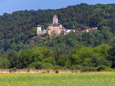 Burg Kipfenberg mit Turm thront auf einem dicht bewaldeten Hügel. Gelb blühendes Feld und grüne Wiese im Vordergrund unter blauem Himmel.